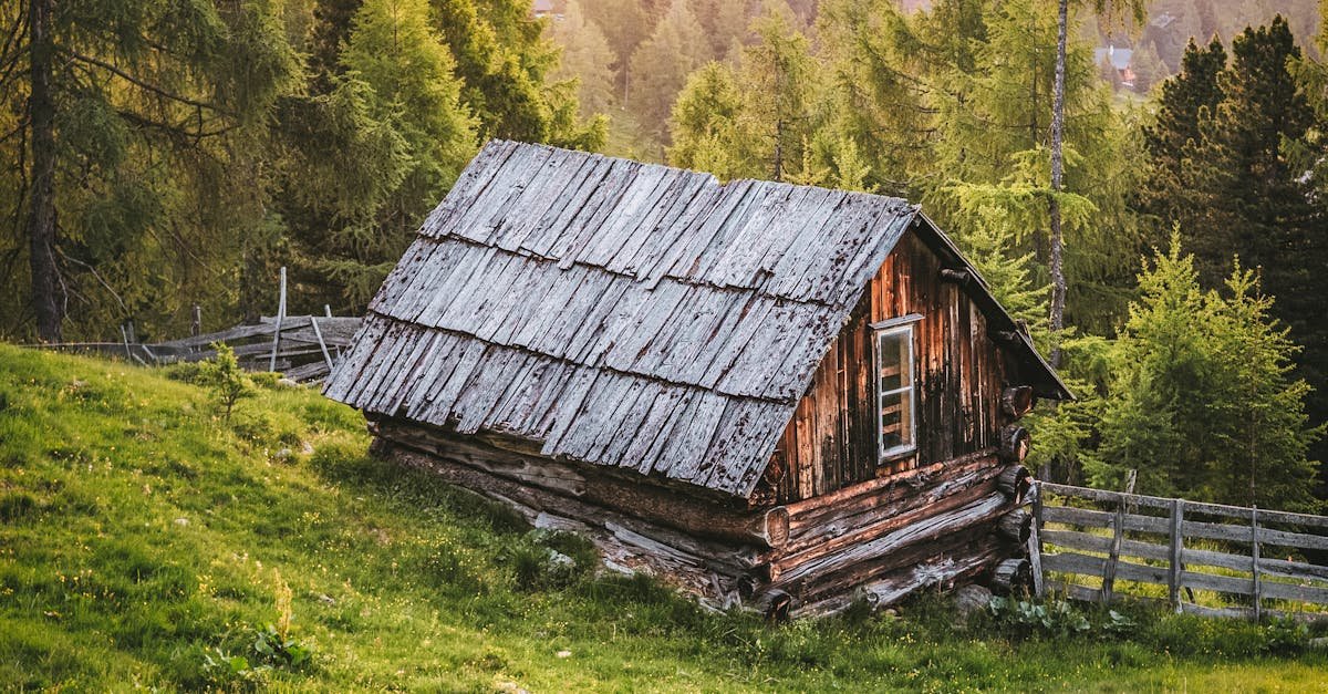 Person Sitting in Front of Brown and Black House